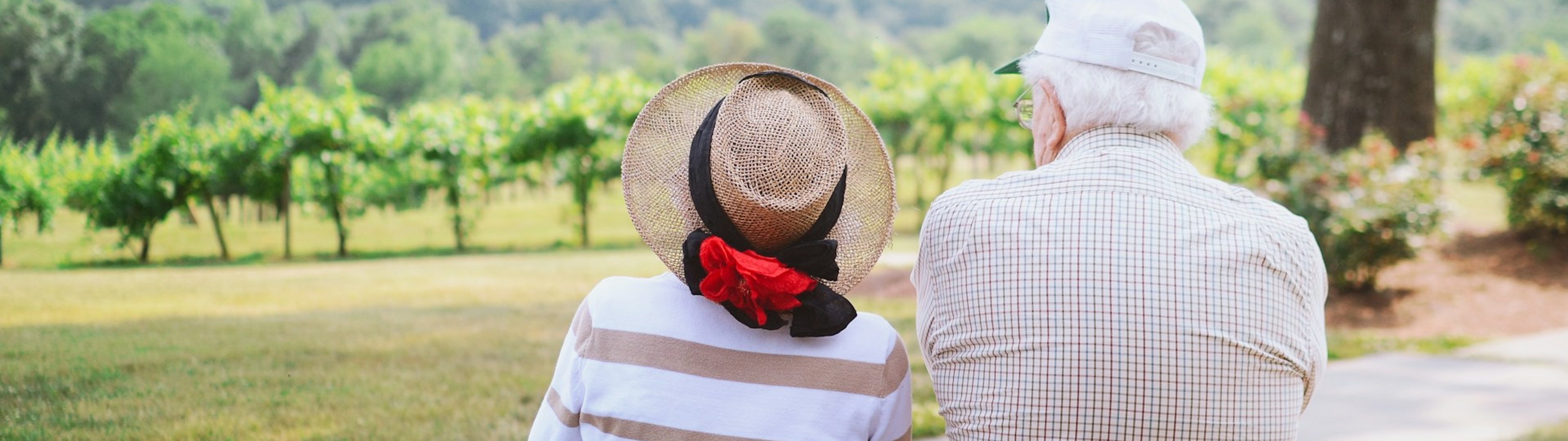 You may well also provide these valuable Disability services and support…..which we have optimised as well