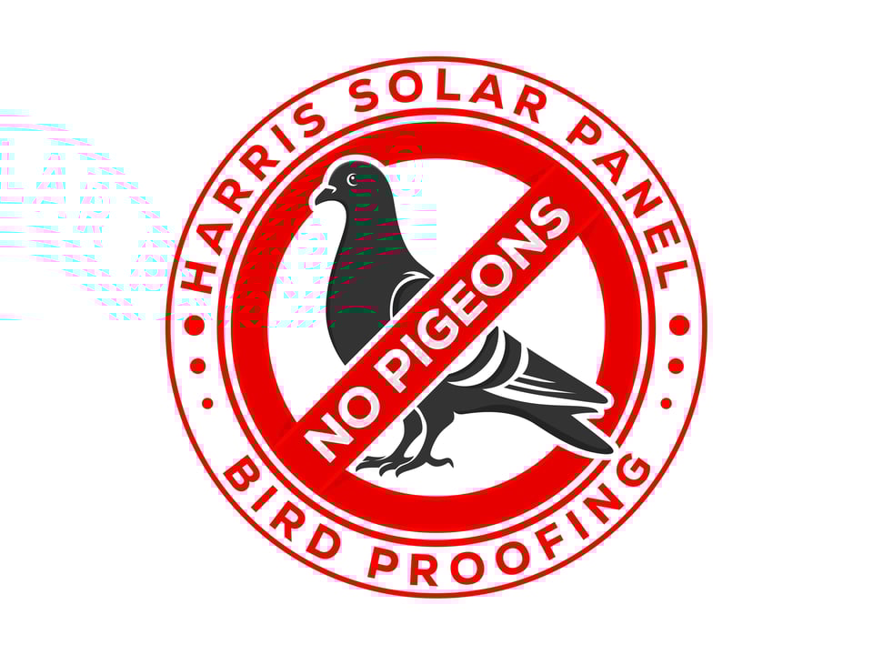 Harris Solar Panel Cleaning and Bird Proofing featured image || "featured image"