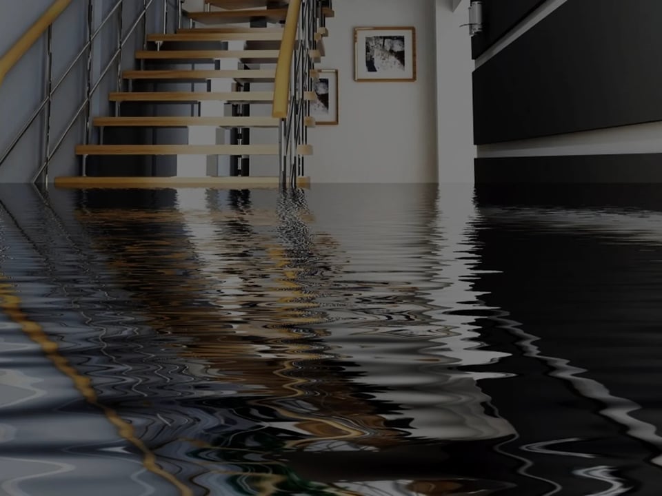 NJ Water and Mold LLC featured image || "featured image"