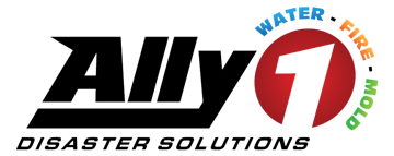 Ally1 Disaster Solutions logo || "logo"