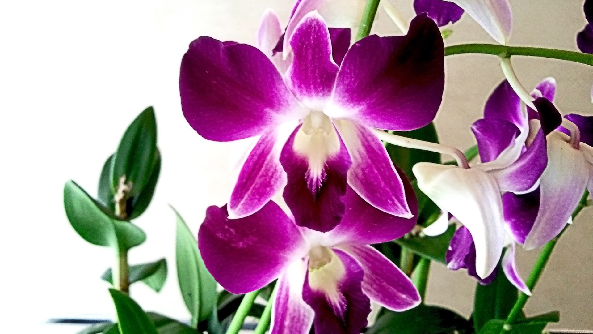 01 QA Tags - Test Campaign hero image