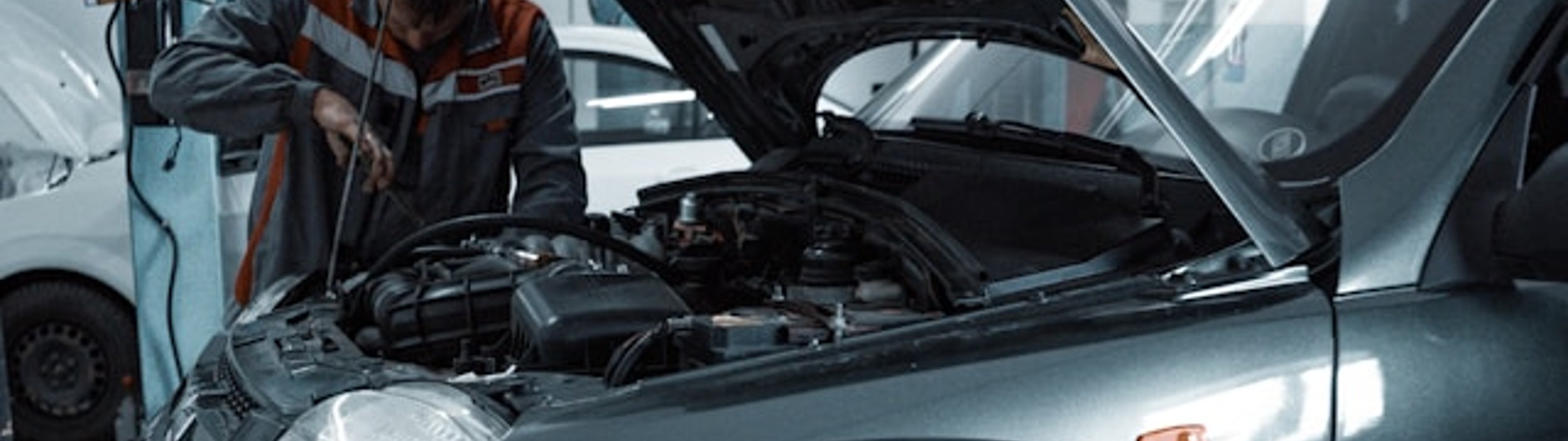 Make all the visitors to this site your own