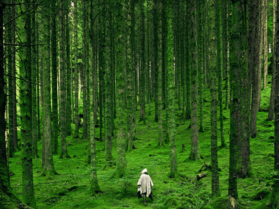 DT Test Proximity Analytics featured image || "featured image"