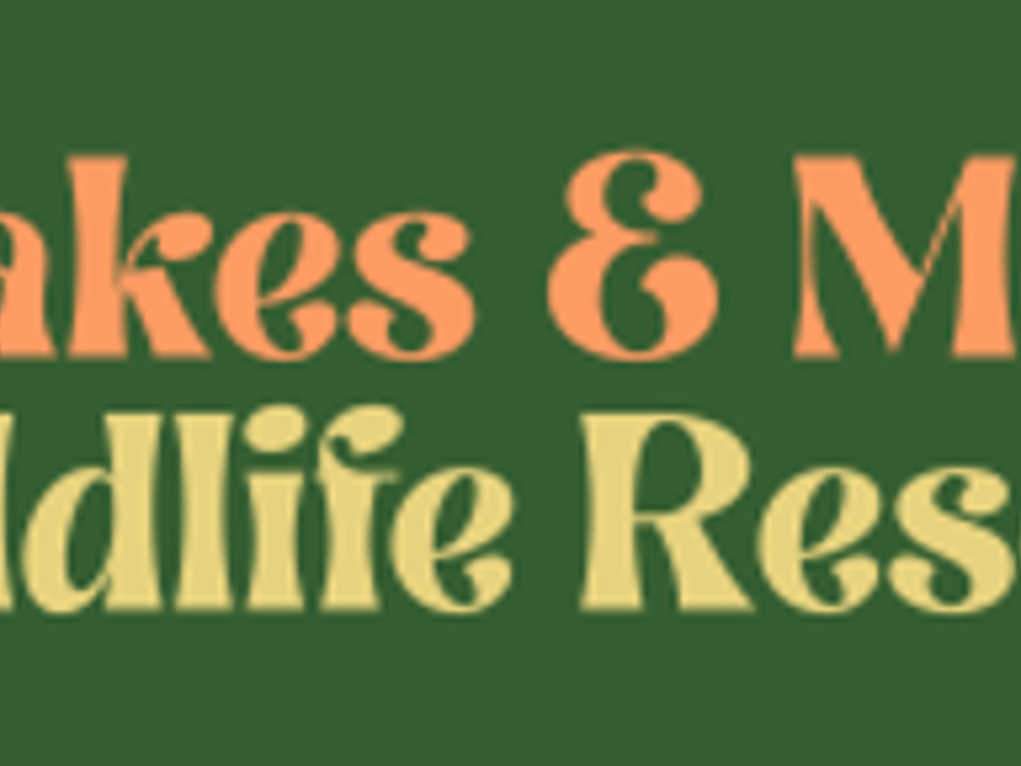 Snakes & More Wildlife Rescue