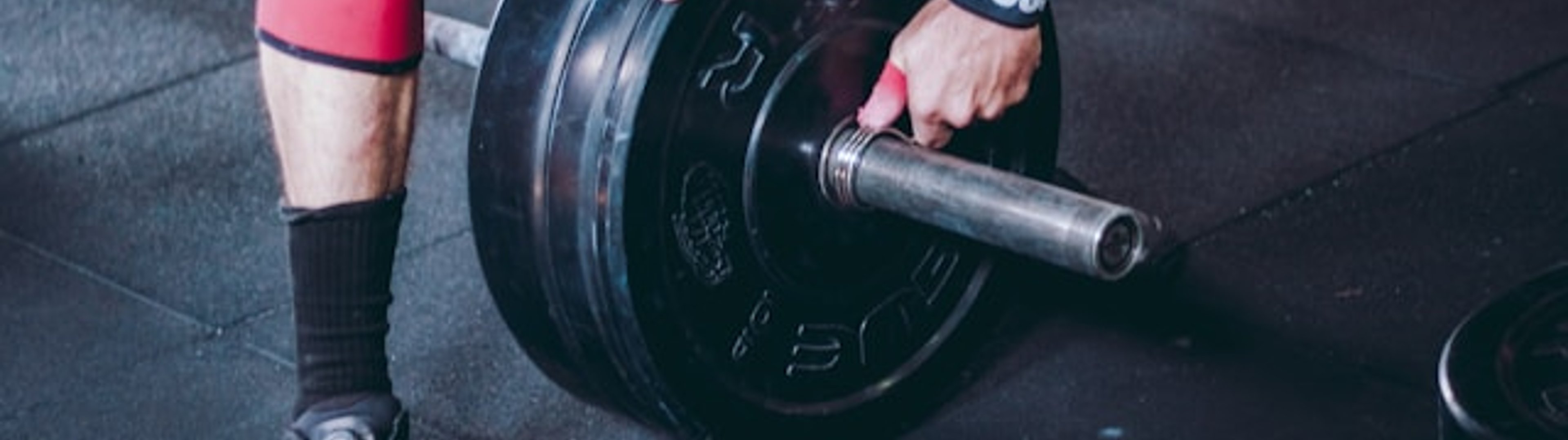 Make all the visitors to this site your own