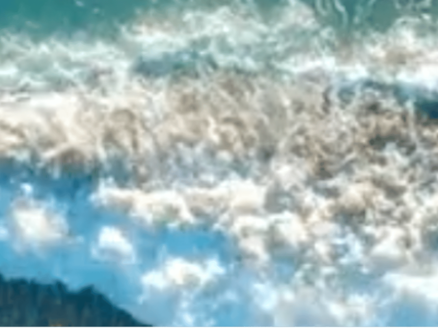 Lynn Ganster REALTOR, Morris Williams Realty