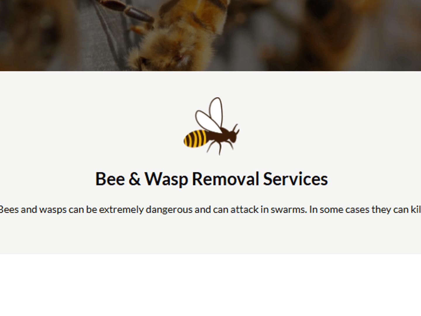 Anthony The Wasp and Bee Man