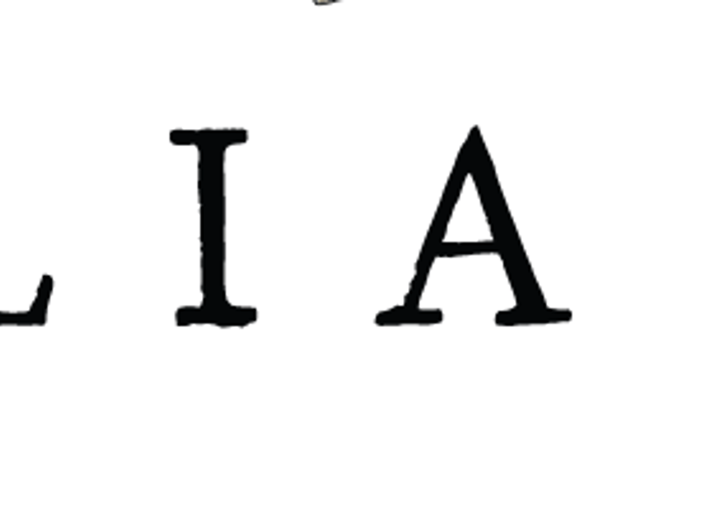 Magnolia Realty - Marion Lamantia