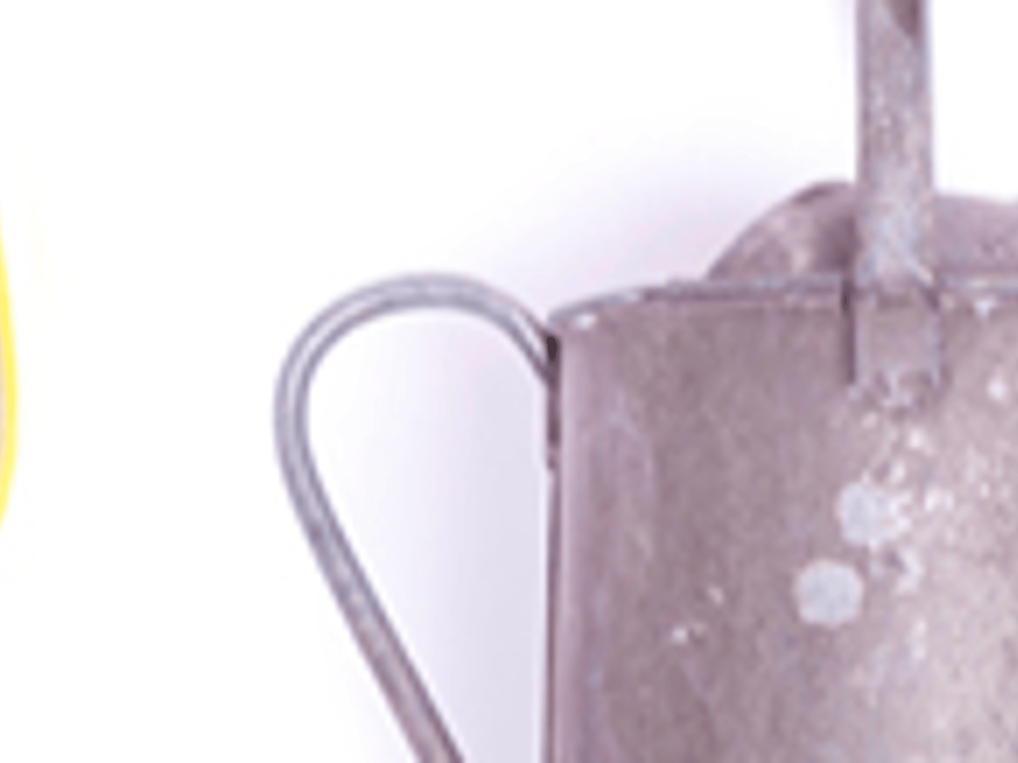 Guild Mortgage - Brenda Holt