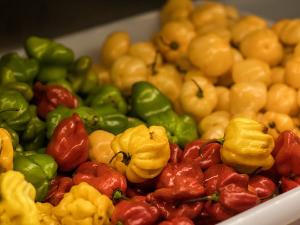 But we don’t offer Fruit and vegetable store here. We do SEO.