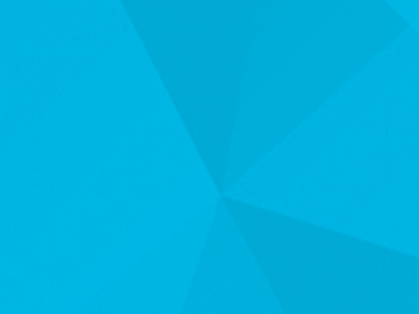 Guild Mortgage - Nancy Meston