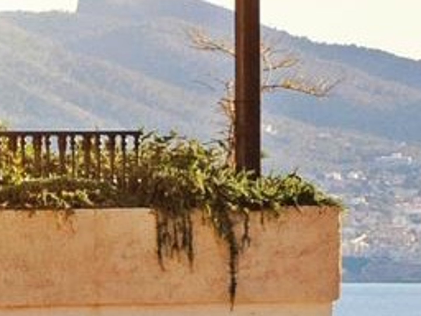 Realty ONE Group West - Monica Yeung MBA MSC CFP