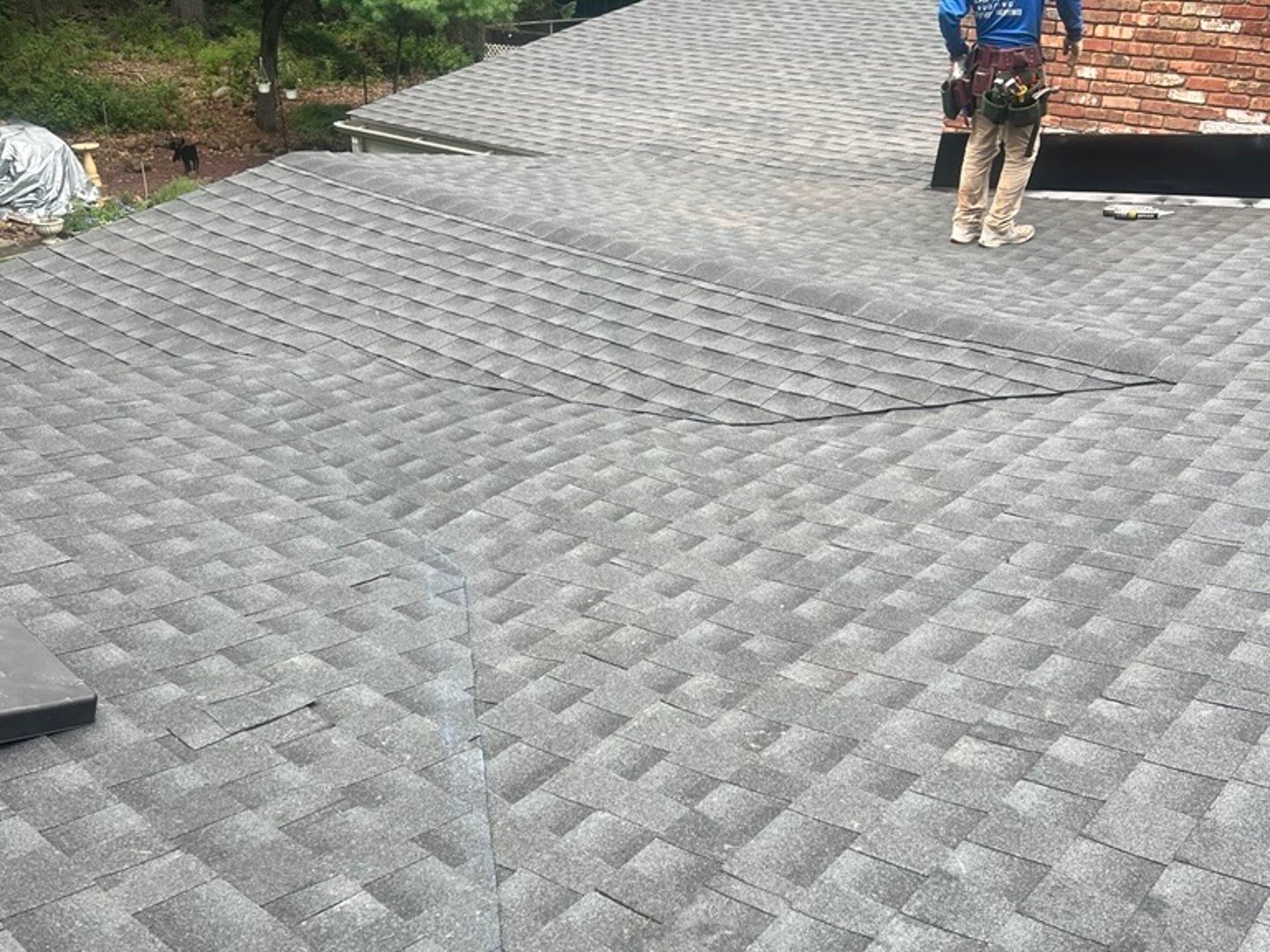 Proximity Nova gallery image