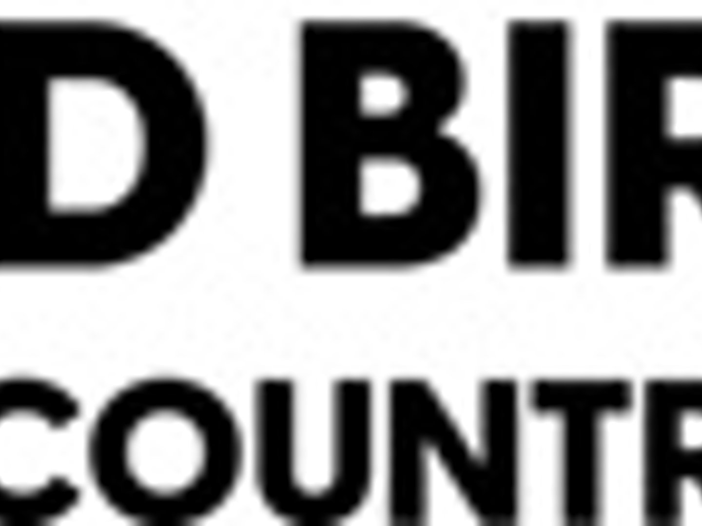 Brad Birdsong at CrossCountry Mortgage