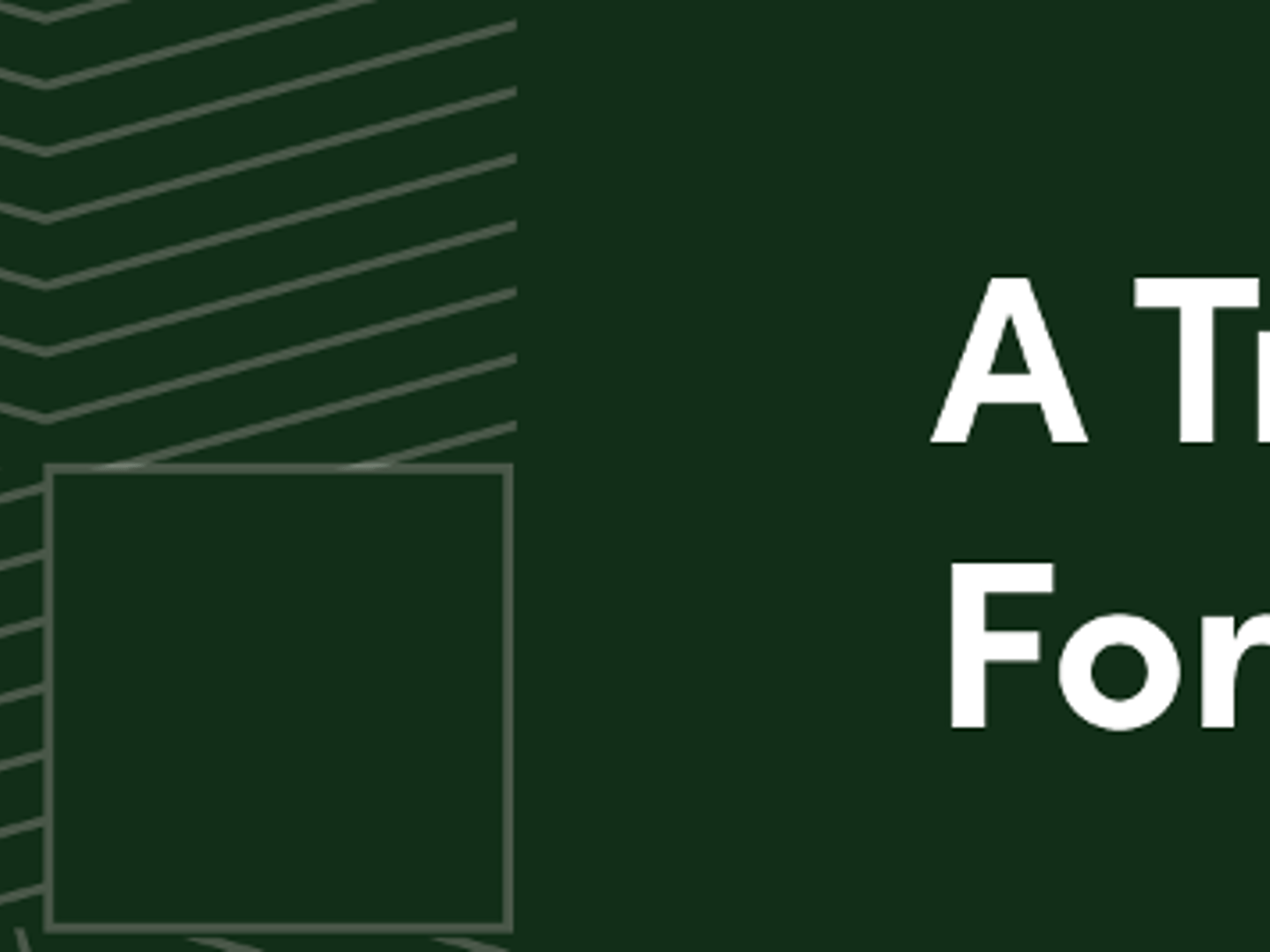 The Money Store - Robert Beau Cox