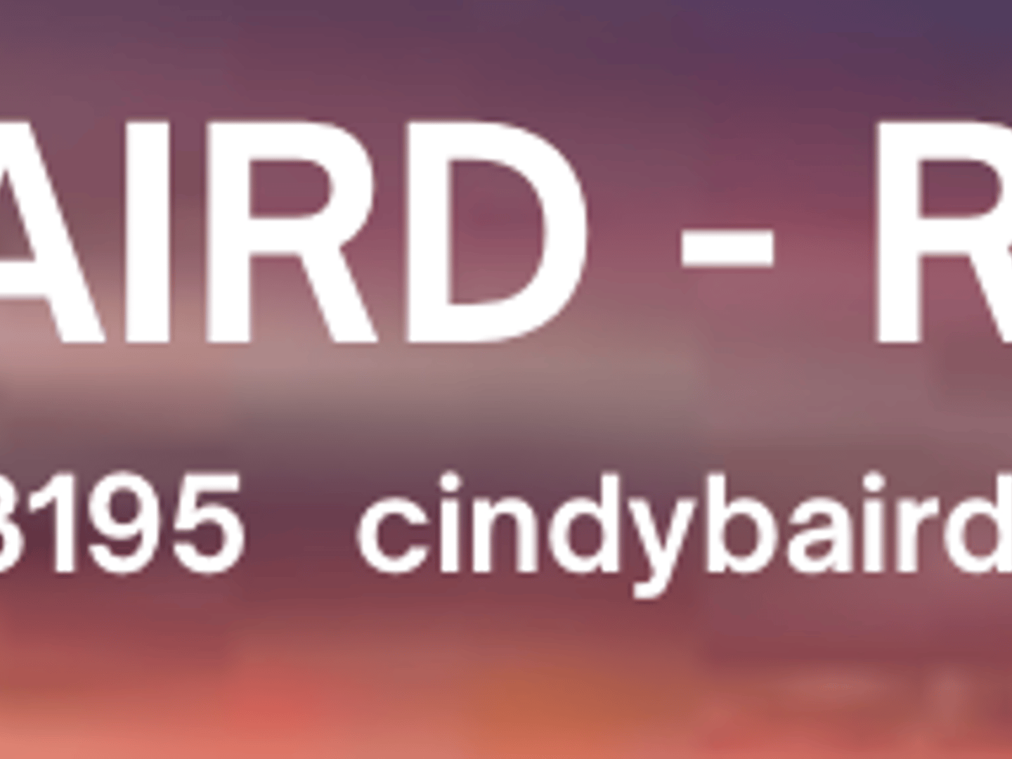 Cindy Baird - Keller Williams Realty Golden Isles