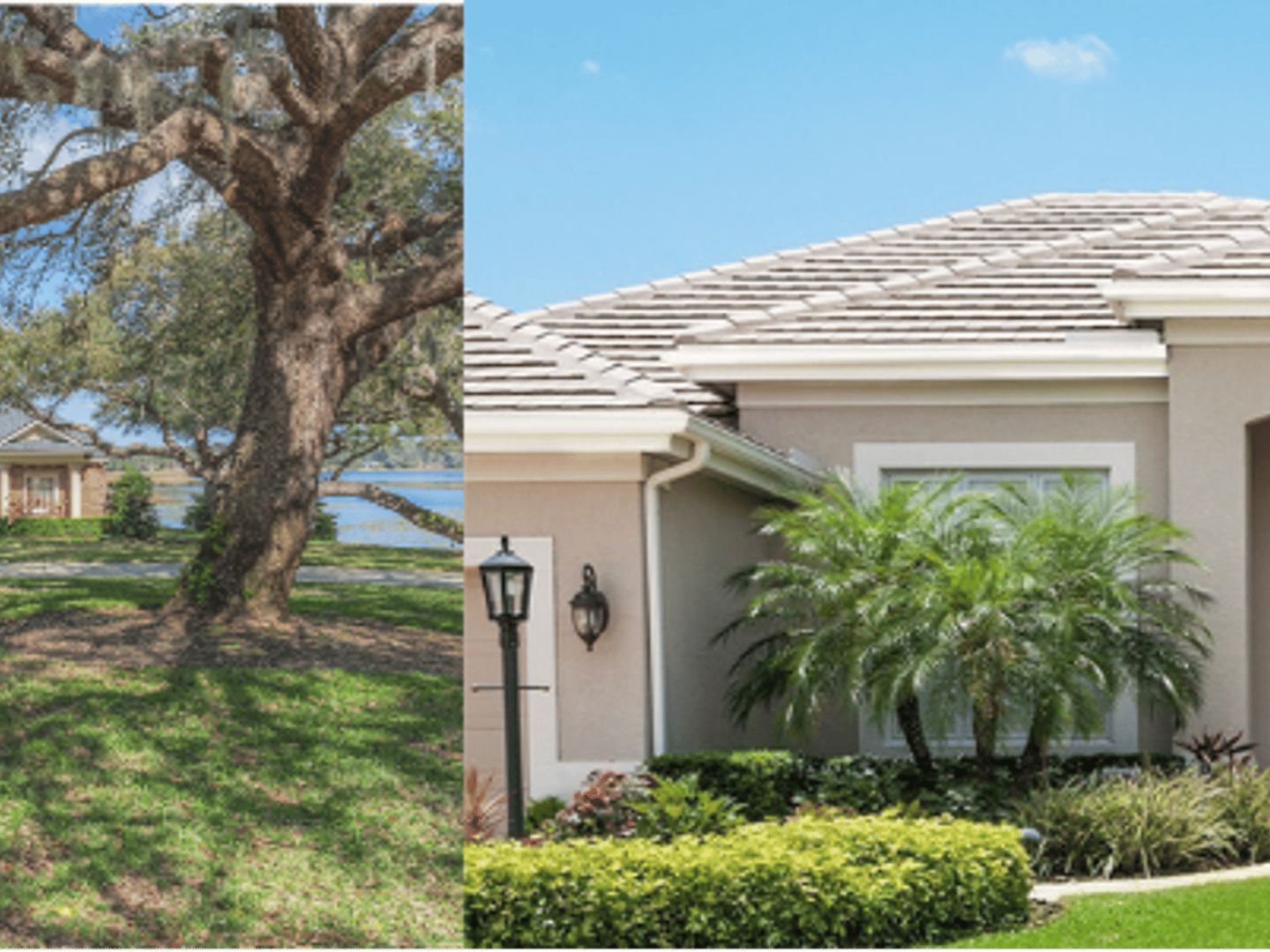 Berkshire Hathaway HomeServices - Jeannette McIntosh, Realtor, BHHS Florida Realty