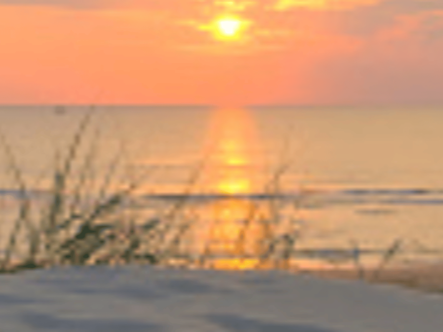 Greg Maynard, RE/MAX Paradise