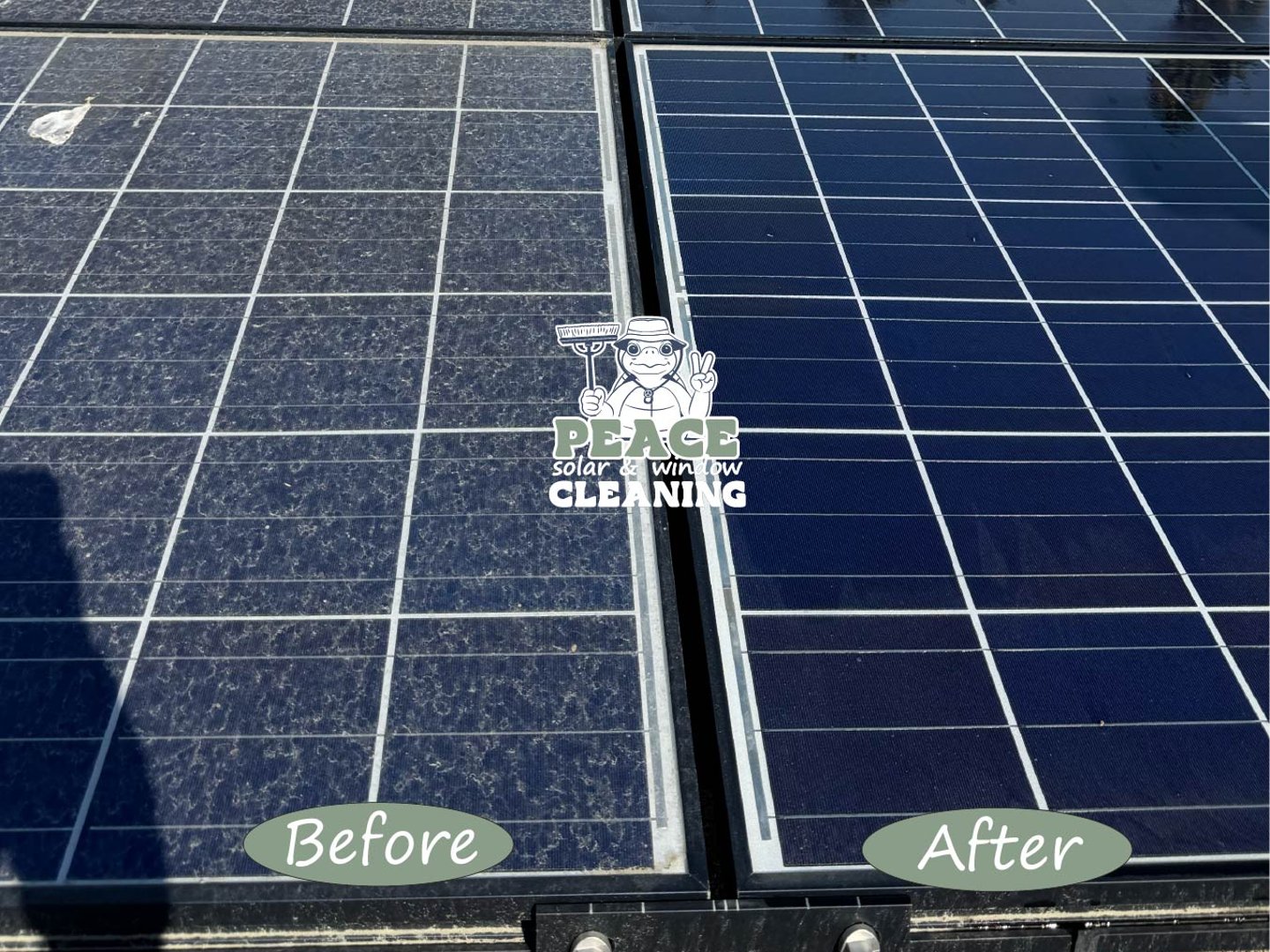 Peace Solar and Window Cleaning featured image || "featured image"