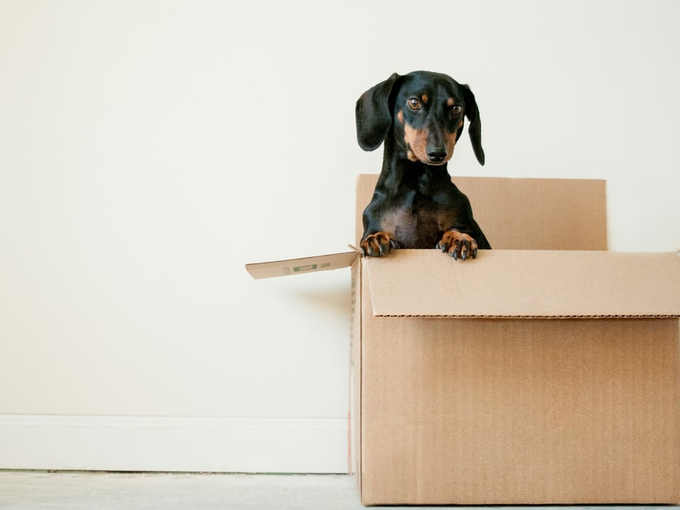 But we don’t offer moving services here. We do SEO.