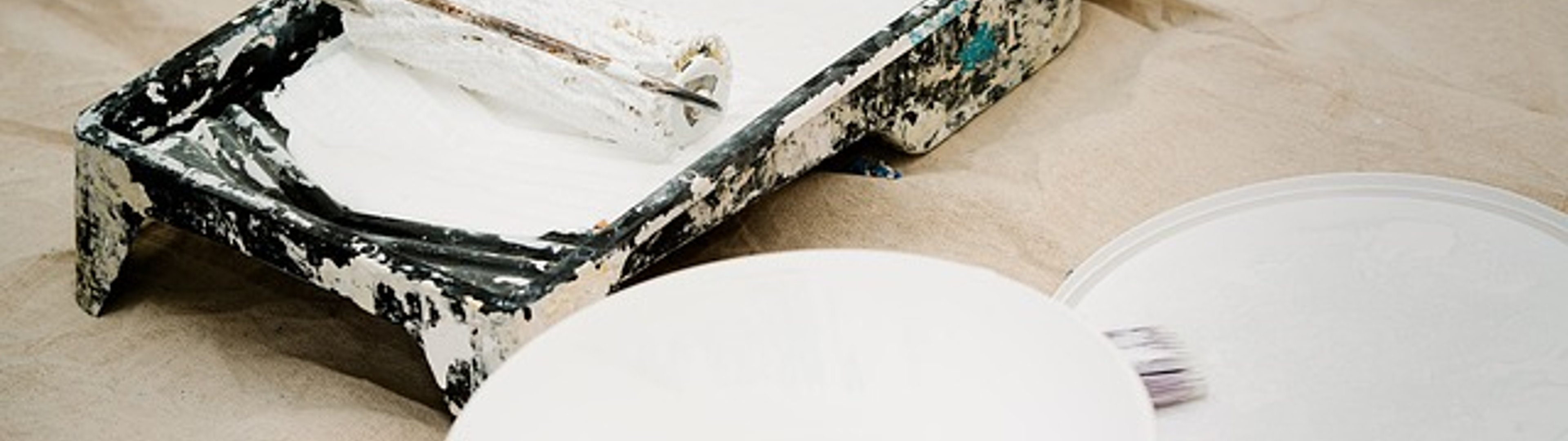 Make all the visitors to this site your own