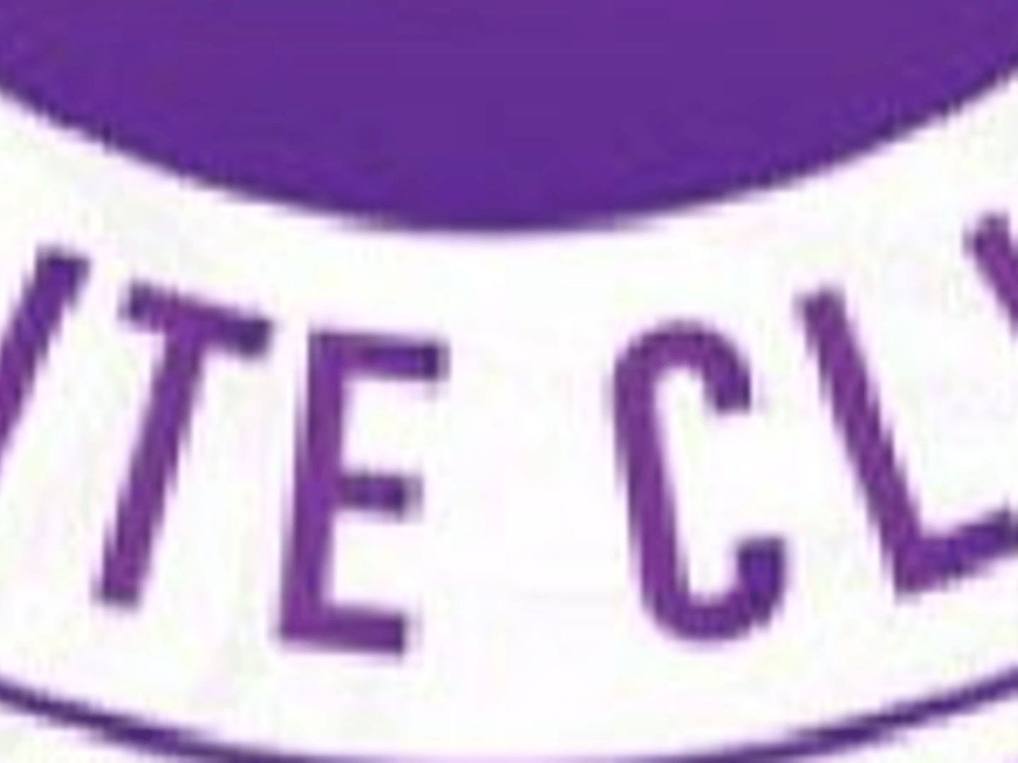 TRUSTED MORTGAGE CAPITAL - SEAN ARECHIGA