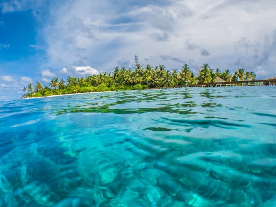 Just like Highlander, there can be only one though.