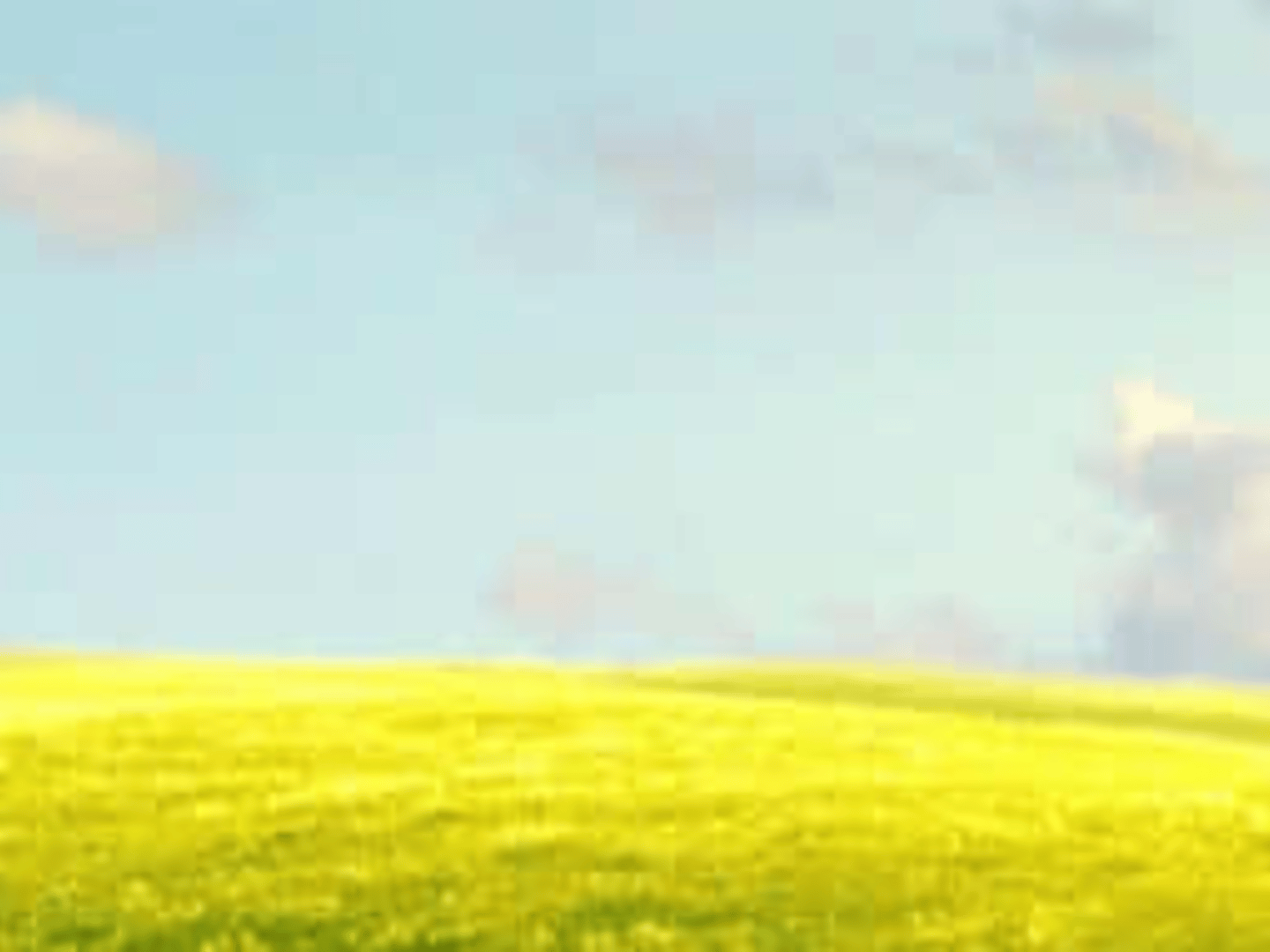 TRUSTED MORTGAGE CAPITAL - SEAN ARECHIGA