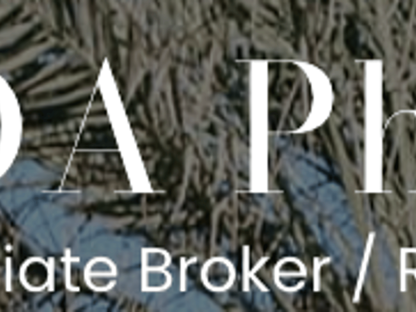 Redfin - Luda Phipps