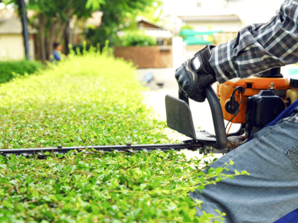 MDA Services Lawns & Garden Care featured image