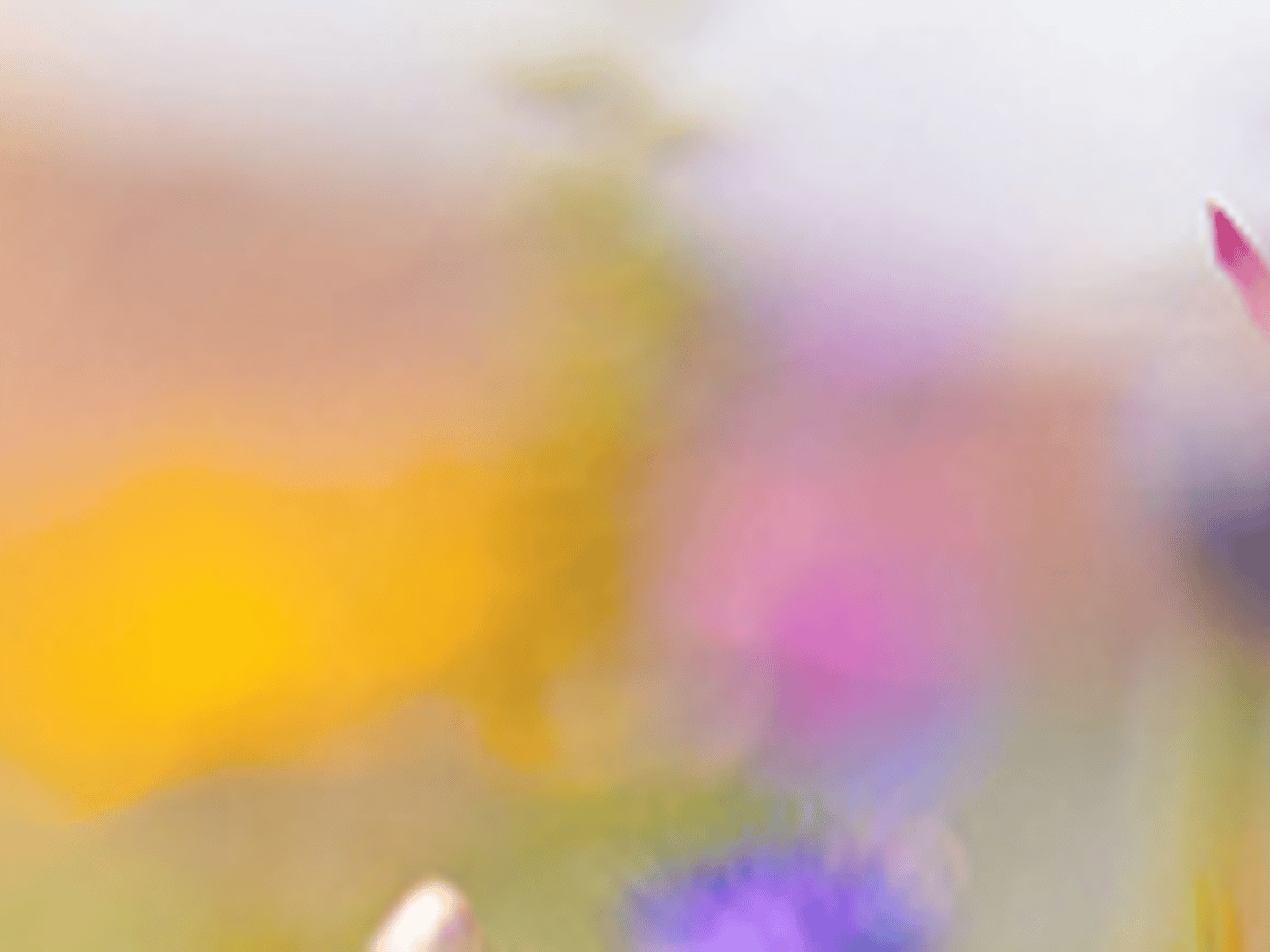 Guild Mortgage - Brook Seeley