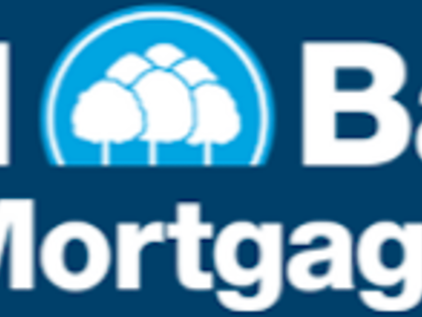 Bell Bank Mortgage, Jim Lee