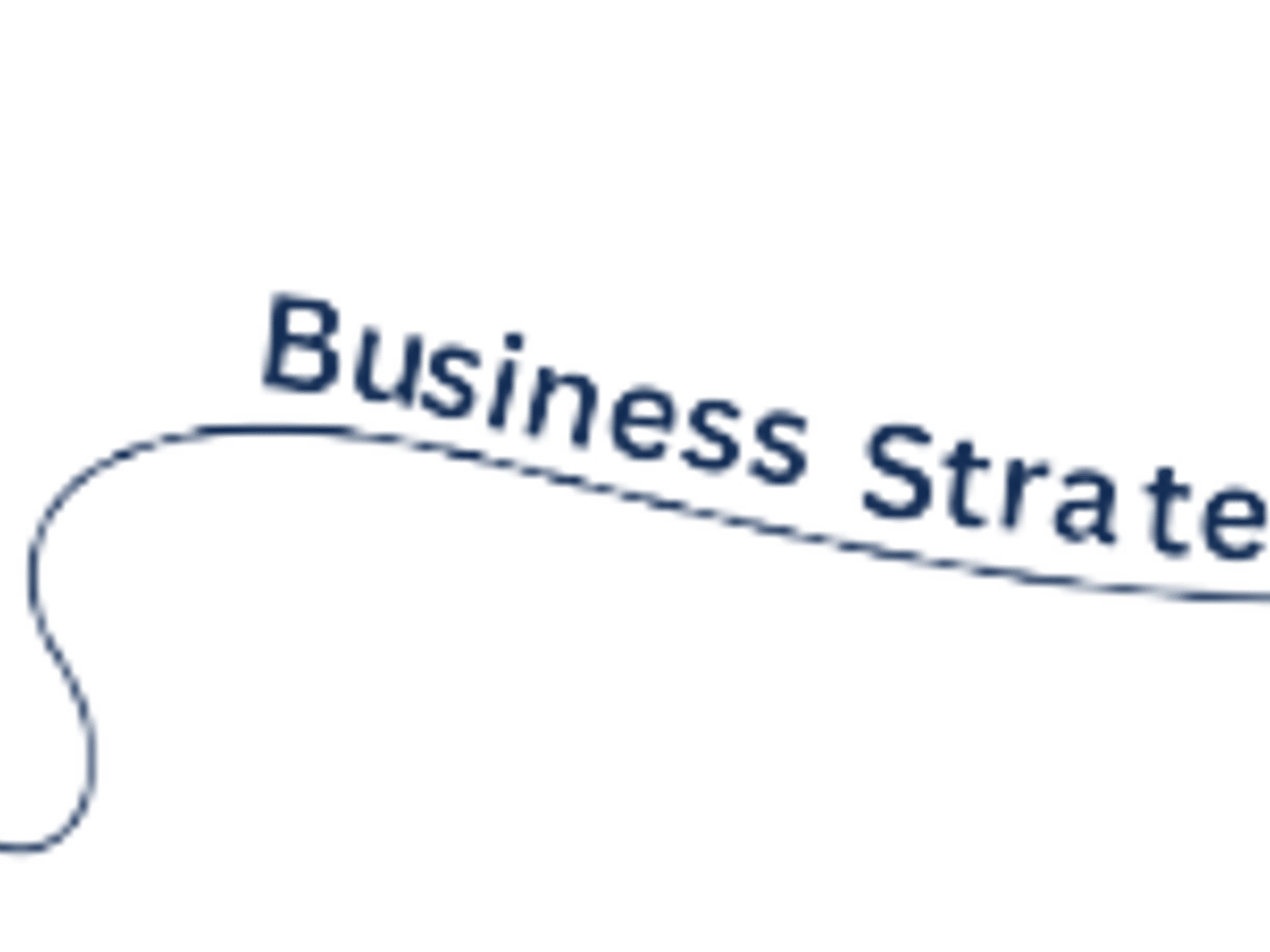 Business Strategic Services