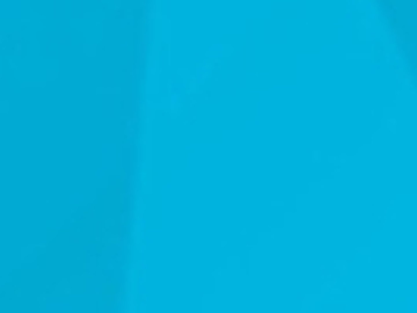 Guild Mortgage - Shannon Jones