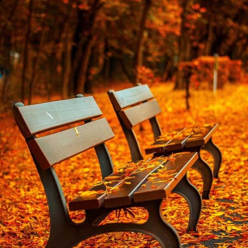 DT Test proximity 002 Featured Image