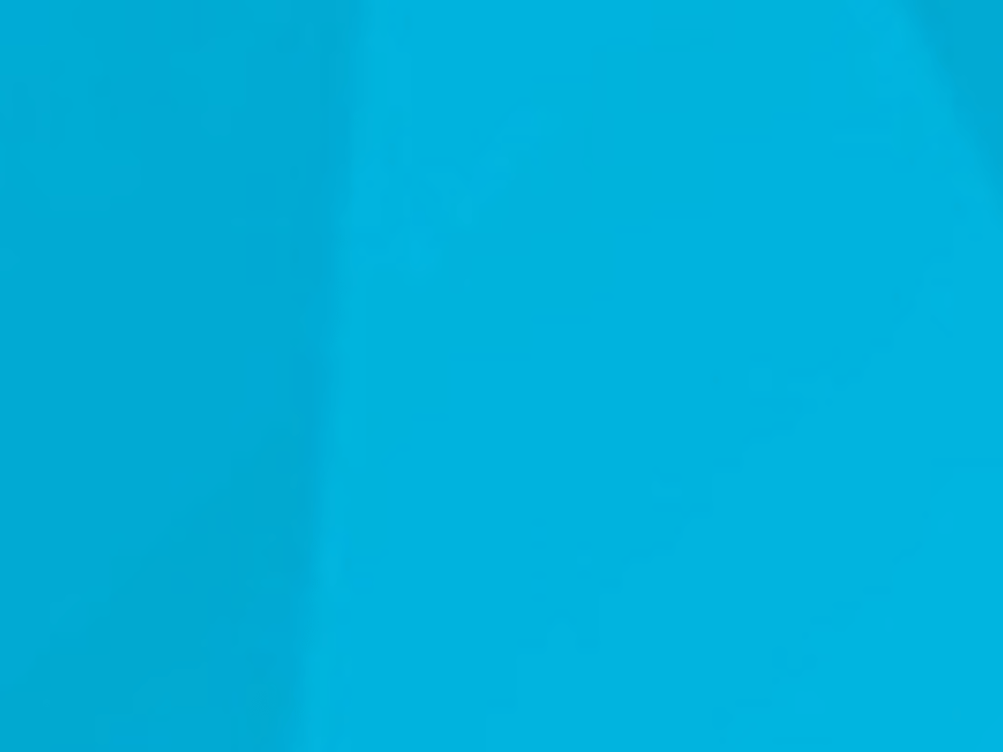 Guild Mortgage - Mike Morris