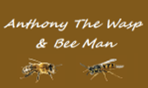 Anthony The Bee & Wasp Man logo