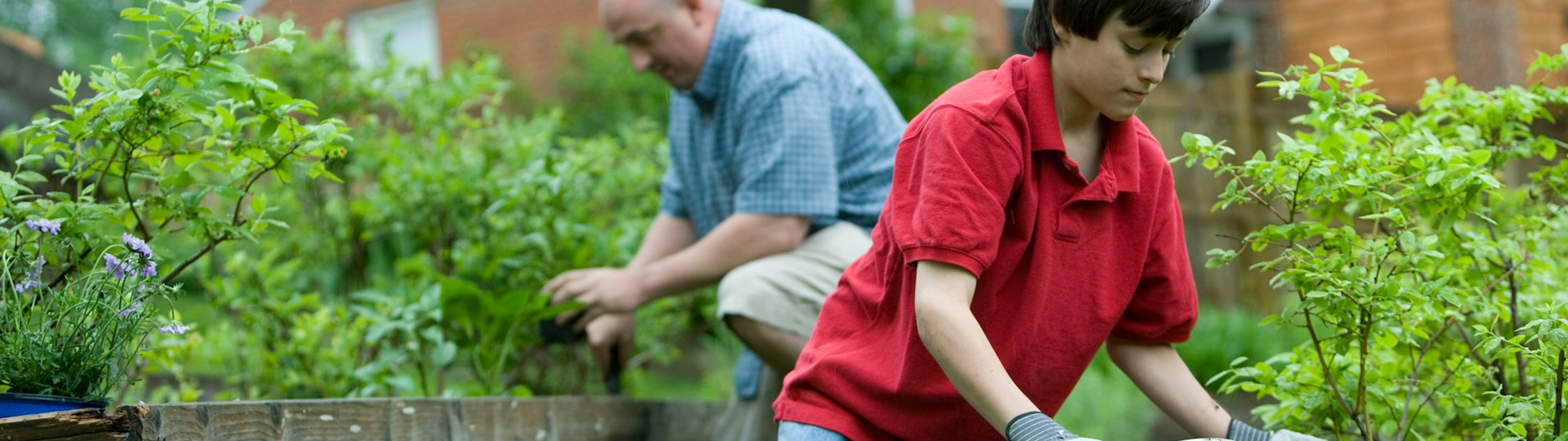 You may well also provide these valuable home care…..which we have optimised as well