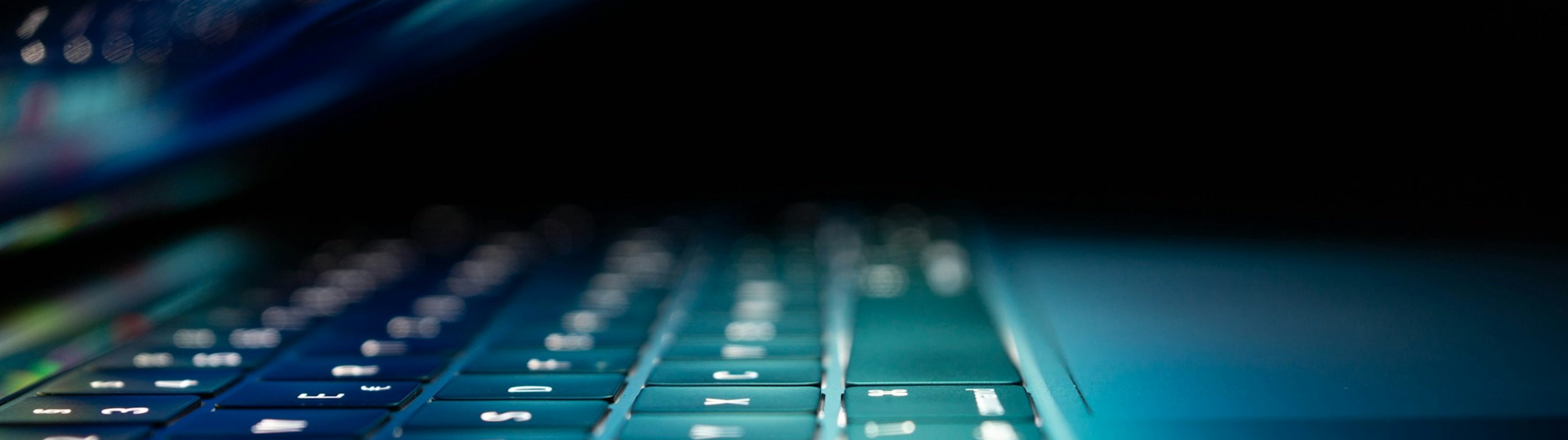 Make all the visitors to this site your own