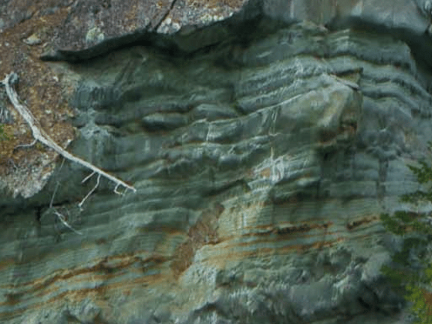 Alameda Mortgage Corp. Mike Fisher