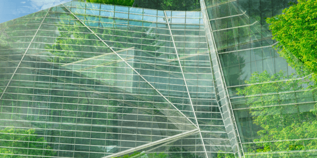 Eyes on the Prize: European CEOs’ ESG Priorities for 2025