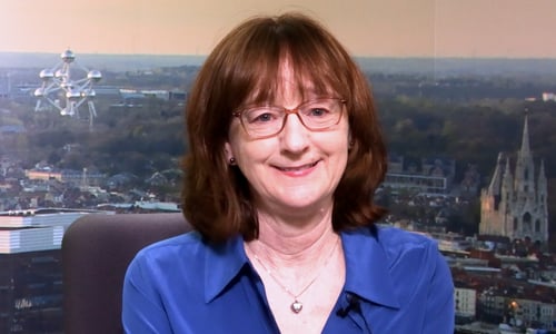 CEO Insight Minute: How Can CHROs Help Embed Sustainability Strategy?