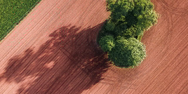 ESG Backlash: How Companies Can Turn Adversity Into Advantage
