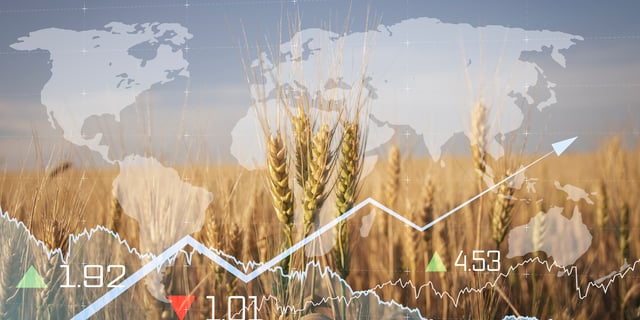 Food Inflation Threatens Post-Pandemic Food Security Recovery