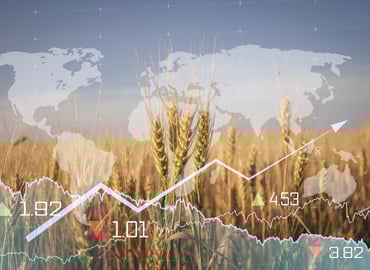 Food Inflation Threatens Post-Pandemic Food Security Recovery