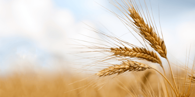 Beyond Mitigation: Embracing Regenerative Climate Action