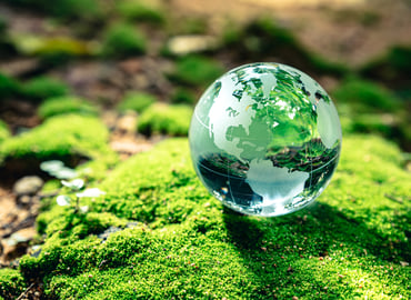 An Energy Transition Road Map to Net Zero 2050