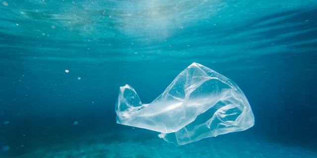 Biodegradable Packaging 2.0: Innovations Provide Business with Better Options