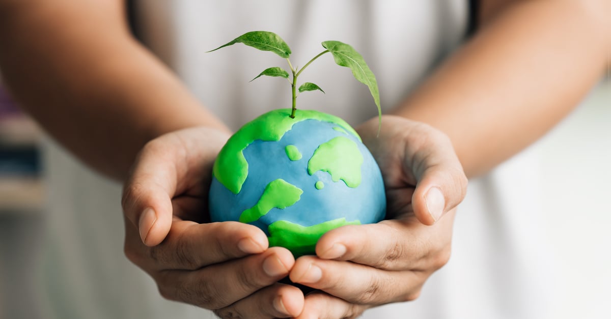 Eco-anxiety: A Growing Threat to Employee Productivity and Well-being