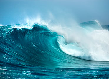 How to Surf the Approaching ESG Regulatory Wave